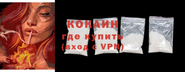 индика Абинск