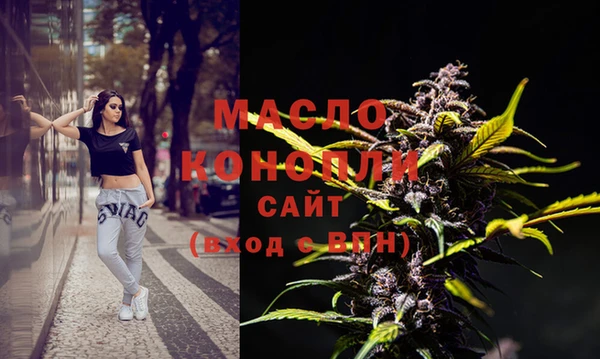 индика Абинск