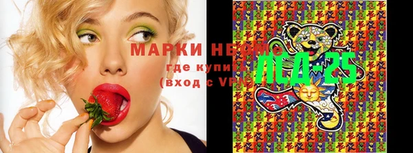индика Абинск