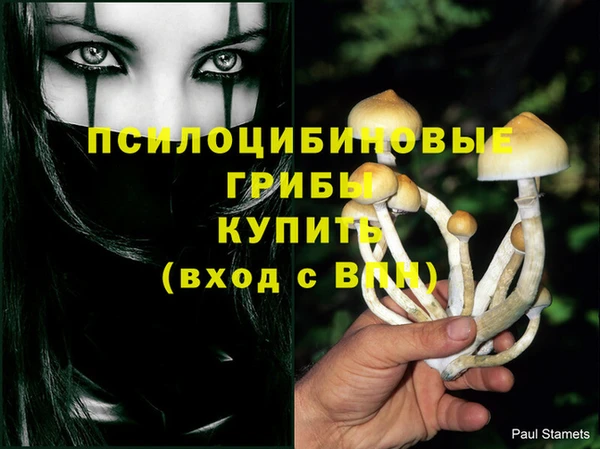 индика Абинск