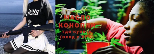 индика Абинск