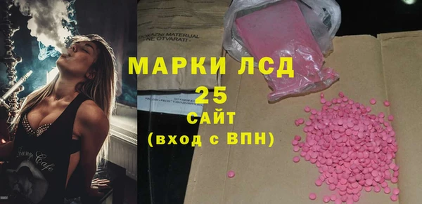 индика Абинск