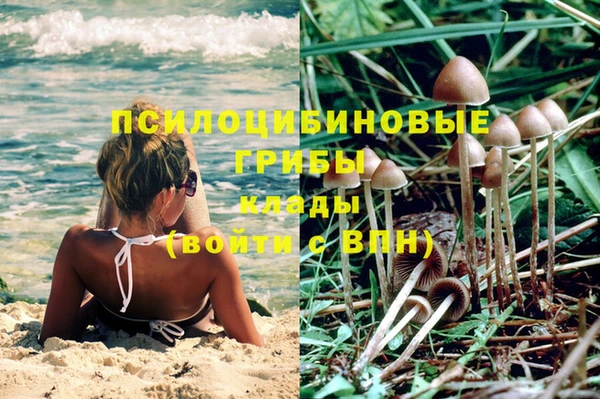 COCAINE Абаза